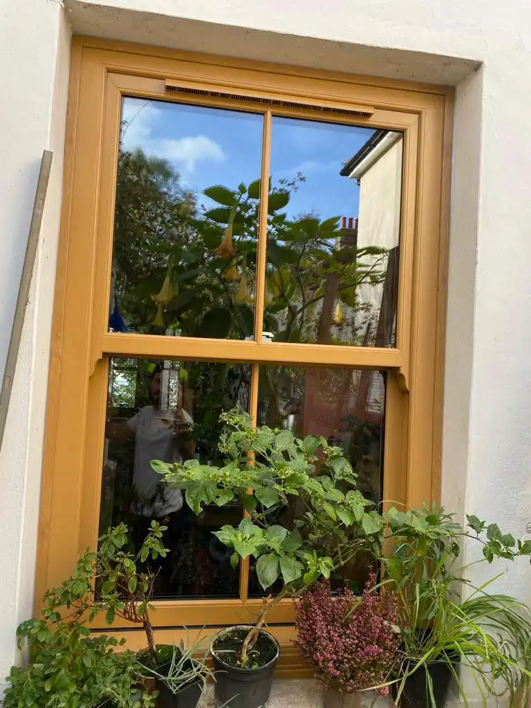 Legacy Sliding Sash Windows Close-up